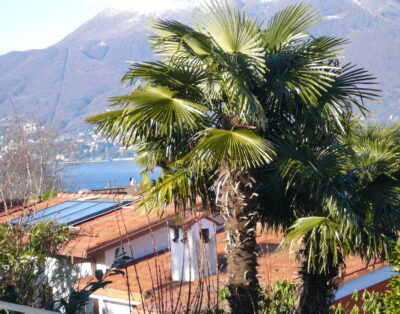 Villa Natalia NAT.03/1 (CIN: IT012076C2B7DGRWSW)