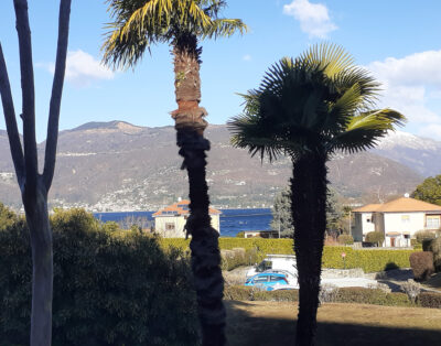 Residenza Lagobello LAG.03/2